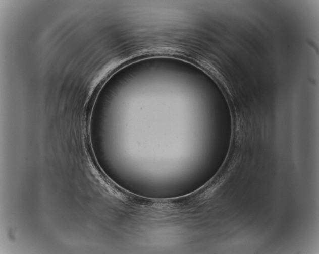 X0000101220989200807111052