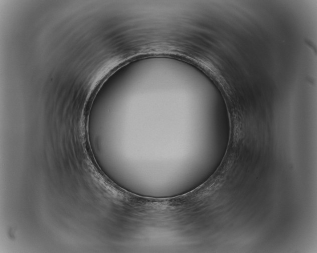 X0000101220990200807111052