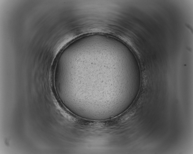 X0000101220991200807111052