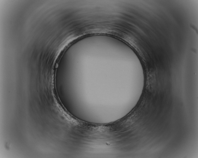 X0000101220992200807111052