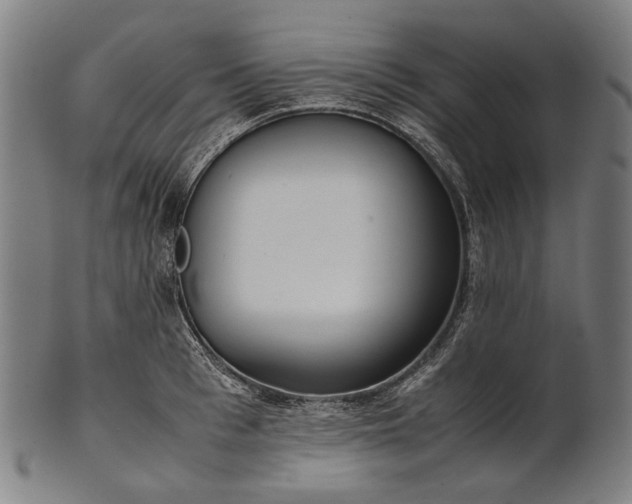 X0000101220993200807111052