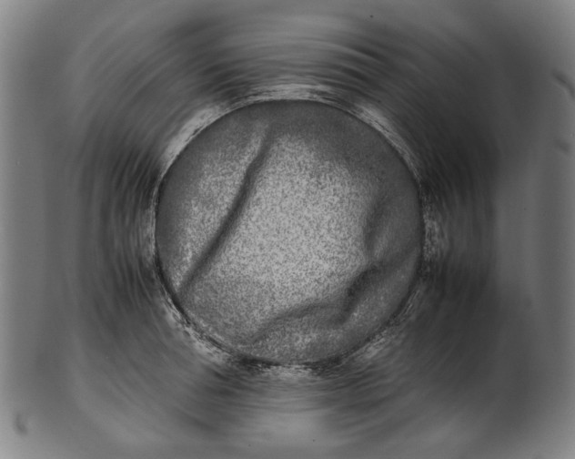 X0000101220994200807111052