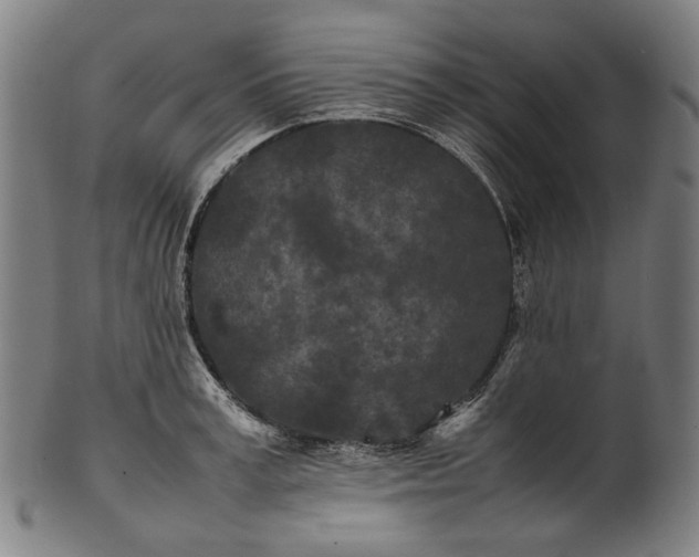 X0000101220995200807111052