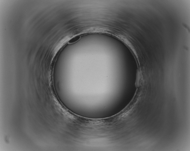 X0000101220997200807111052
