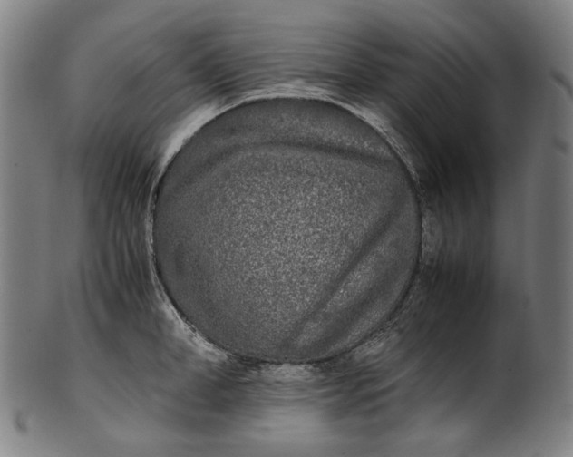 X0000101220998200807111052