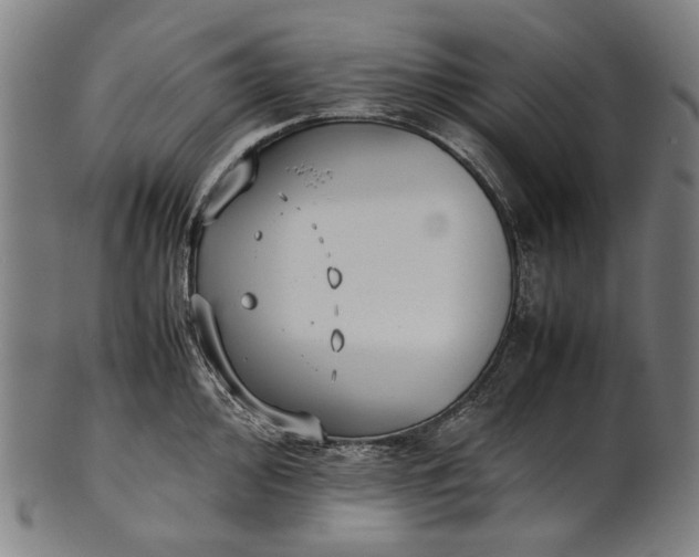 X0000101221000200807111052