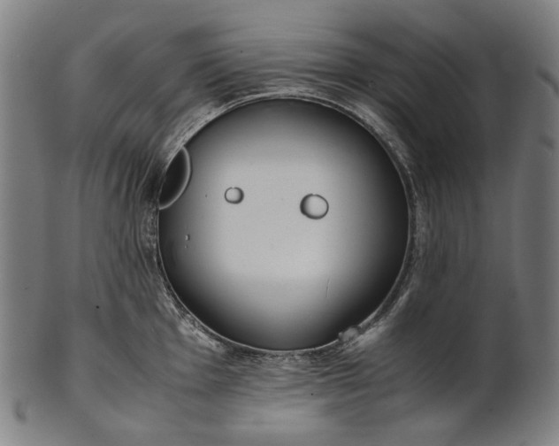 X0000101221001200807111052