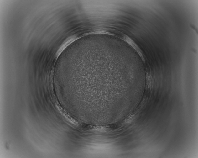 X0000101221002200807111052