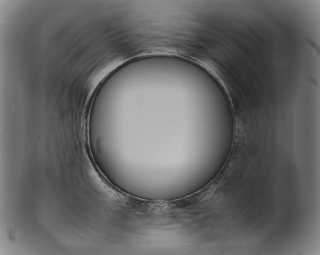 X0000101221003200807111052