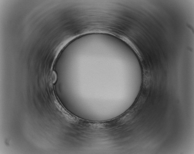 X0000101221004200807111052