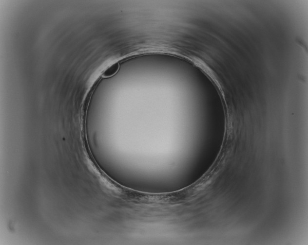 X0000101221005200807111052