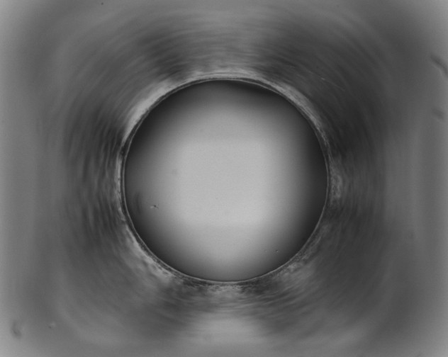X0000101221006200807111052