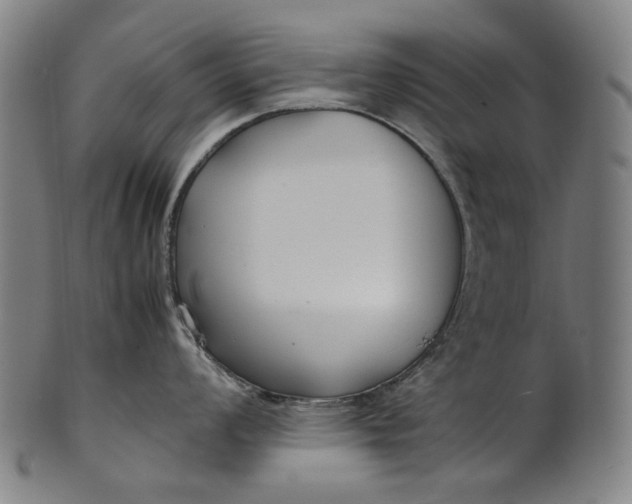 X0000101221008200807111052