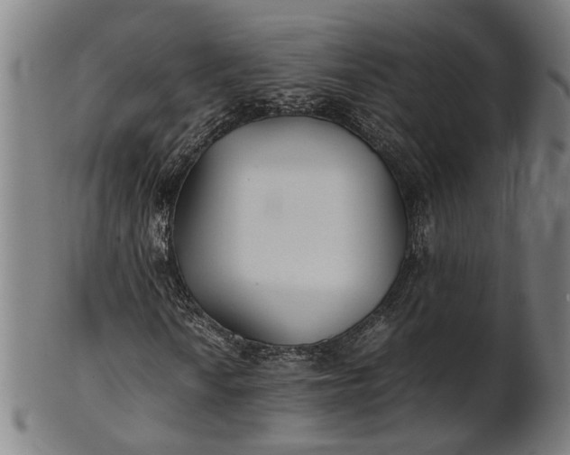 X0000101221010200807111051