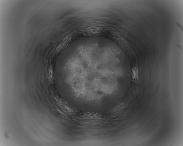 X0000101221011200807111051