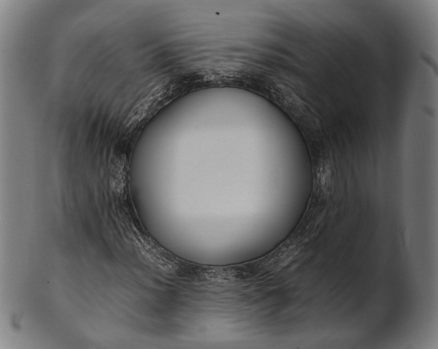 X0000101221012200807111051