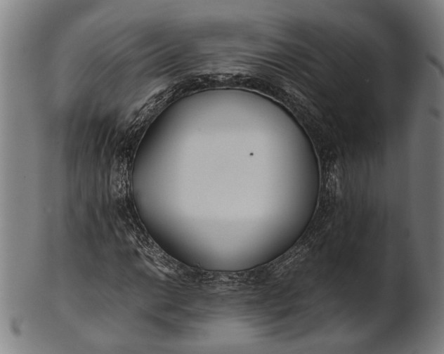 X0000101221014200807111051