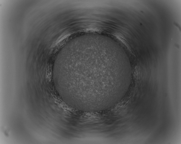 X0000101221015200807111051