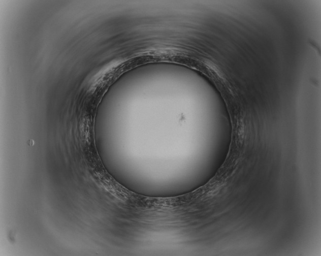 X0000101221016200807111051