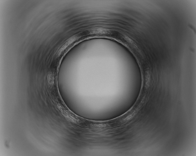 X0000101221017200807111051