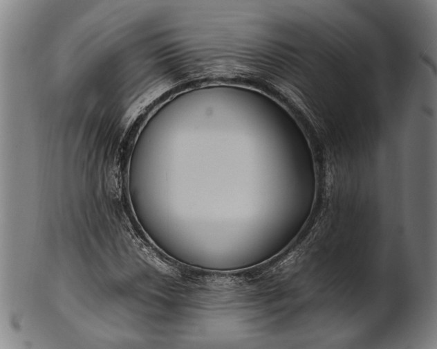 X0000101221018200807111051