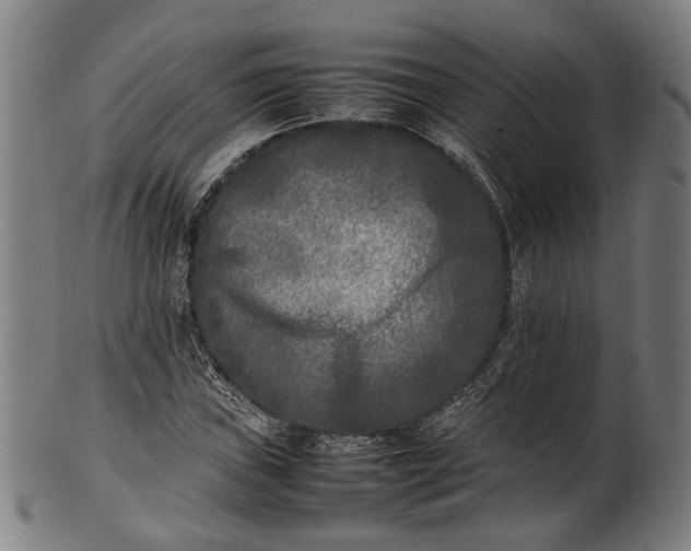 X0000101221019200807111051