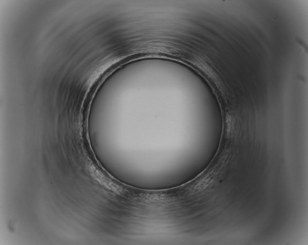 X0000101221020200807111051