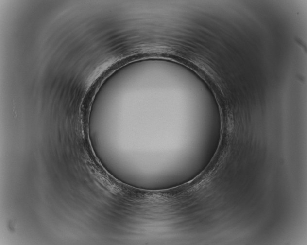 X0000101221022200807111051