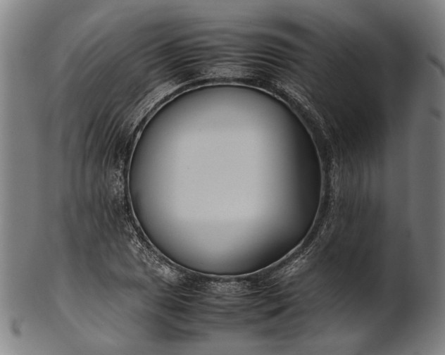 X0000101221025200807111051