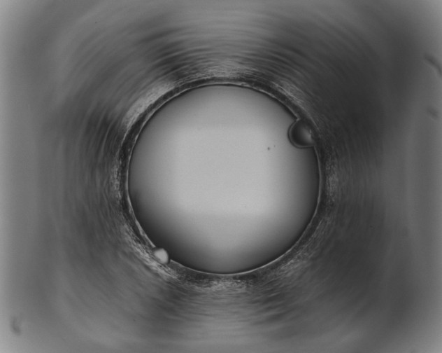 X0000101221026200807111051