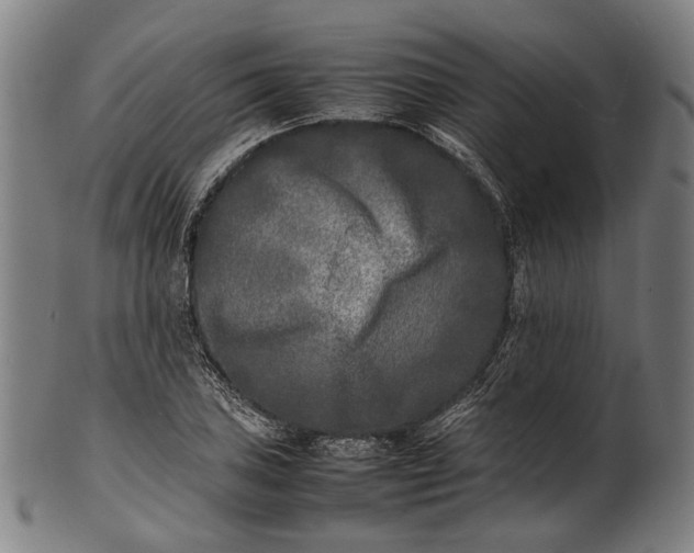 X0000101221027200807111051