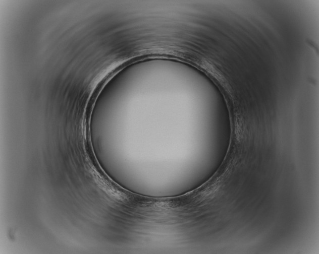 X0000101221028200807111051