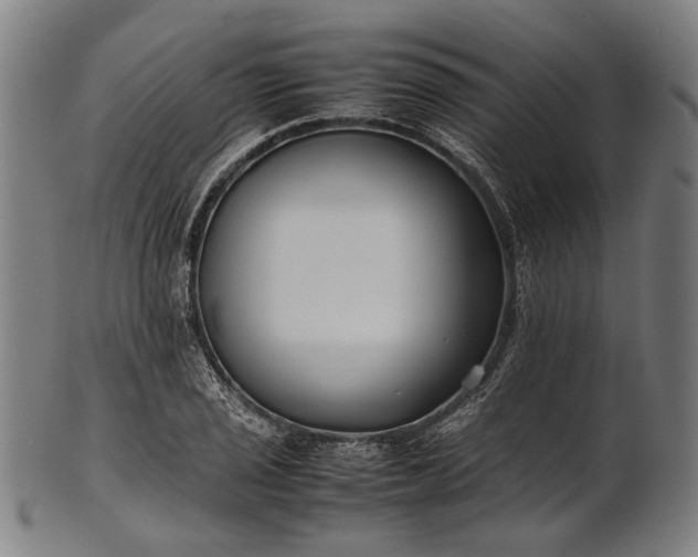X0000101221029200807111051
