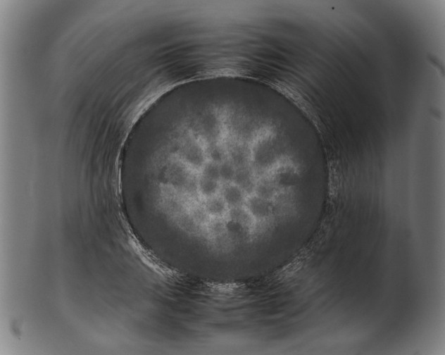 X0000101221031200807111052