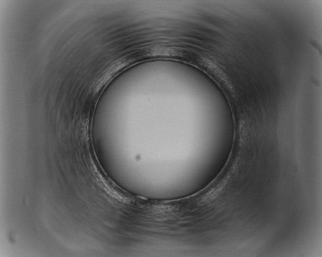 X0000101221033200807111052
