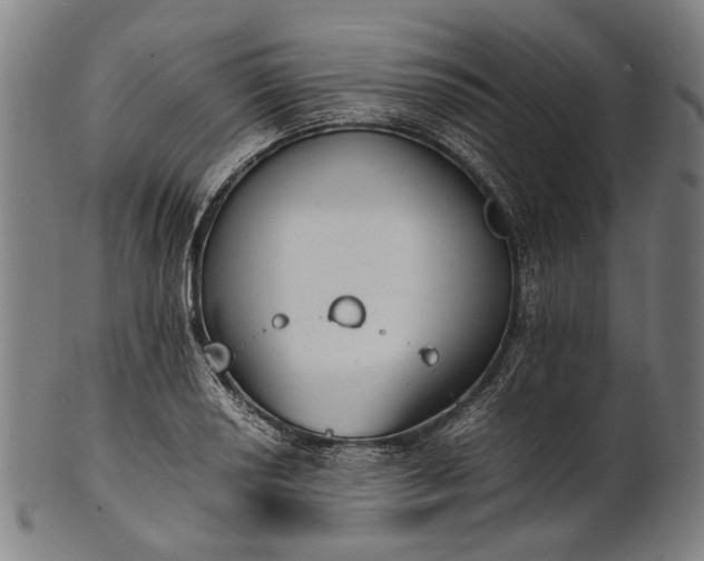 X0000101221034200807111052
