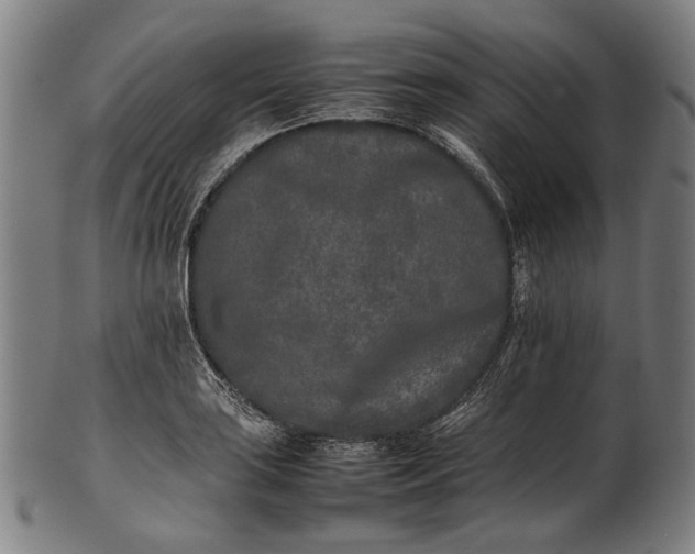 X0000101221035200807111052