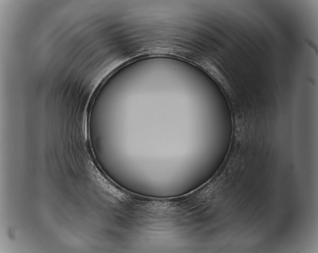X0000101221036200807111052