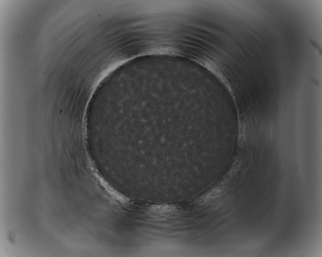 X0000101221037200807111052