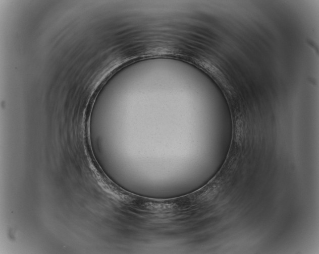 X0000101221039200807111052