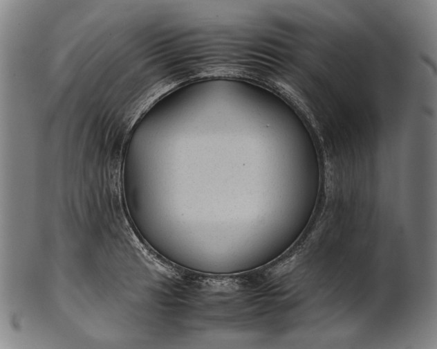 X0000101221041200807111052