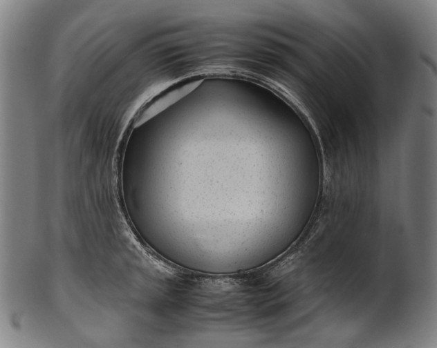 X0000101221045200807111052