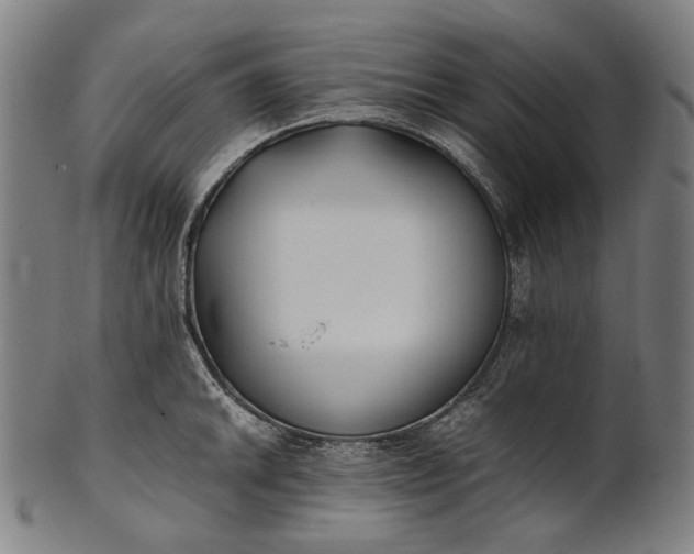 X0000101221046200807111052