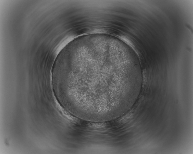 X0000101221047200807111052