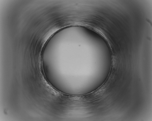 X0000101221048200807111052