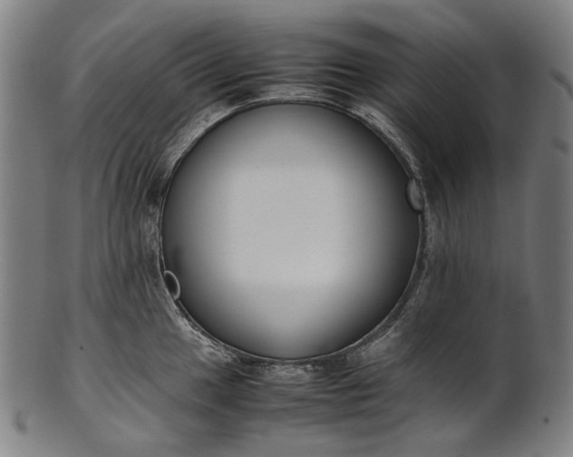 X0000101221049200807111052