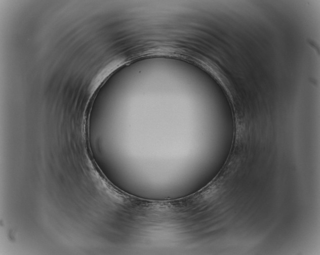 X0000101221050200807111052