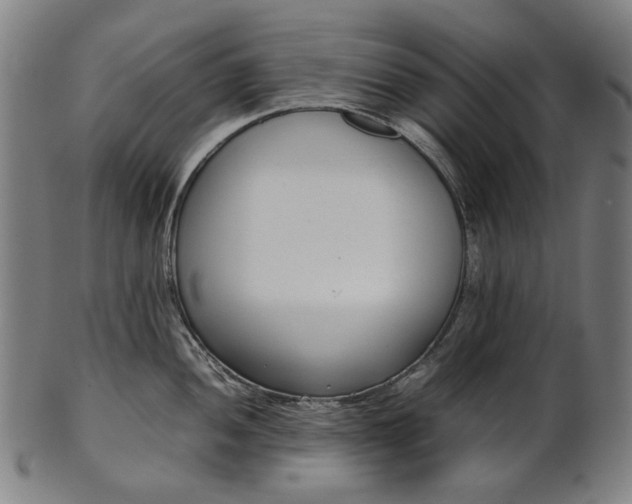 X0000101221052200807111052