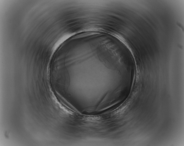 X0000101221053200807111052