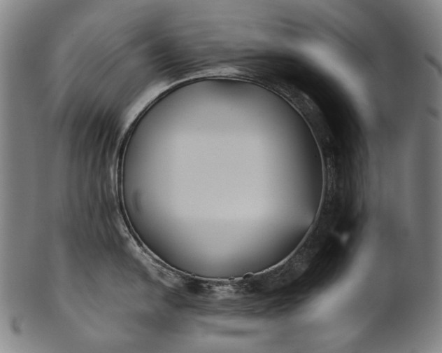X0000101221054200807111052